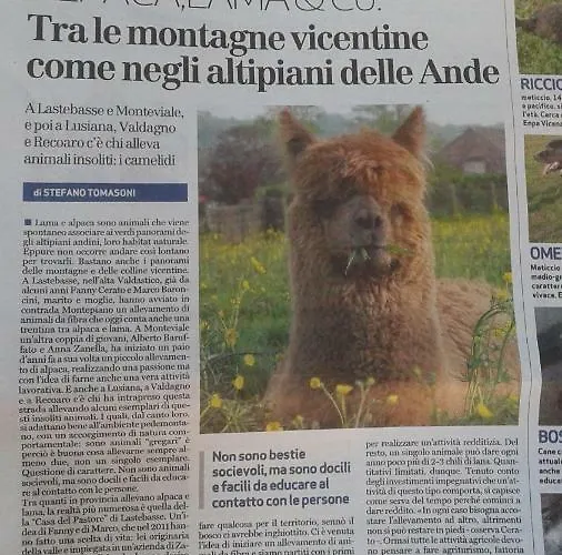 Casa Da 2 A 7 Posti Nelle Piccole Dolomiti
