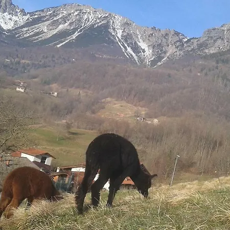 Casa vacanze Casa Da 2 A 7 Posti Nelle Piccole Dolomiti *