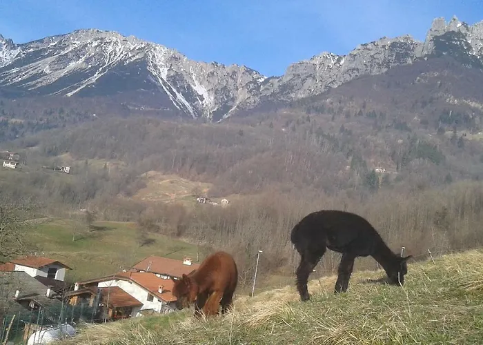 펜션 Casa Da 2 A 7 Posti Nelle Piccole Dolomiti *